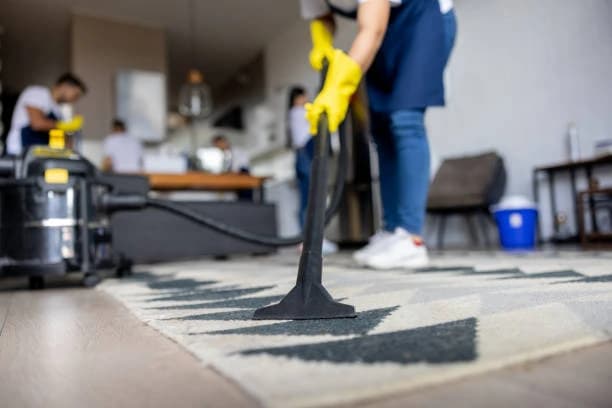 Floor, carpet & upholstery solutions