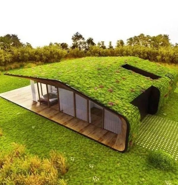 Green Roof Home